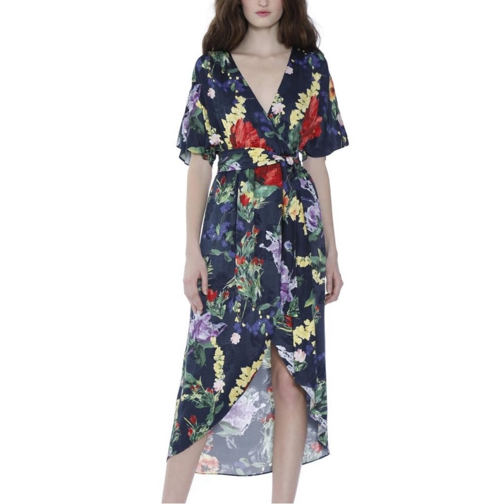 Alice and Olivia dress